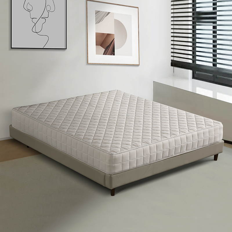 Materasso a molle arrotolabile per letto Memory Sponge Home Sleep