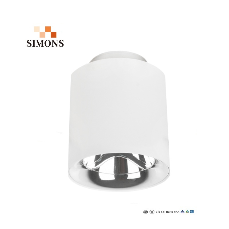 3CCT Multi-Angle Cylinder Surface LED Downlight