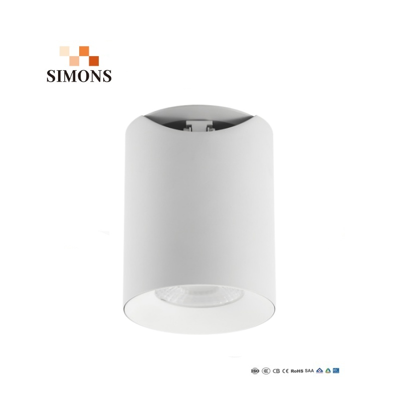 Adjustable Tilt 3CCT Surface Mount LED Downlight