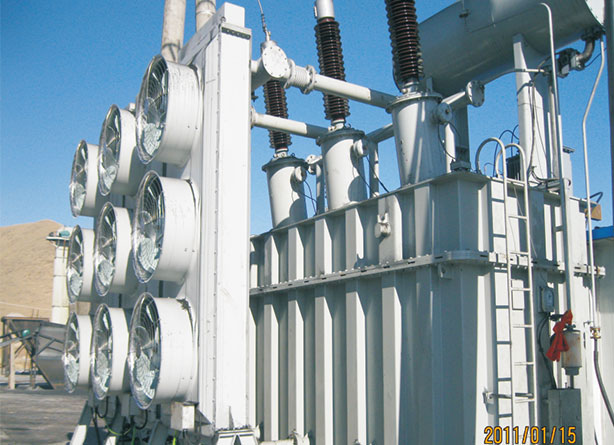 SFZ-60000220KV transformer exporting to Albania