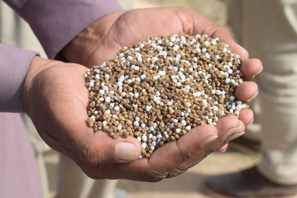 Bentonite for Fertilizer