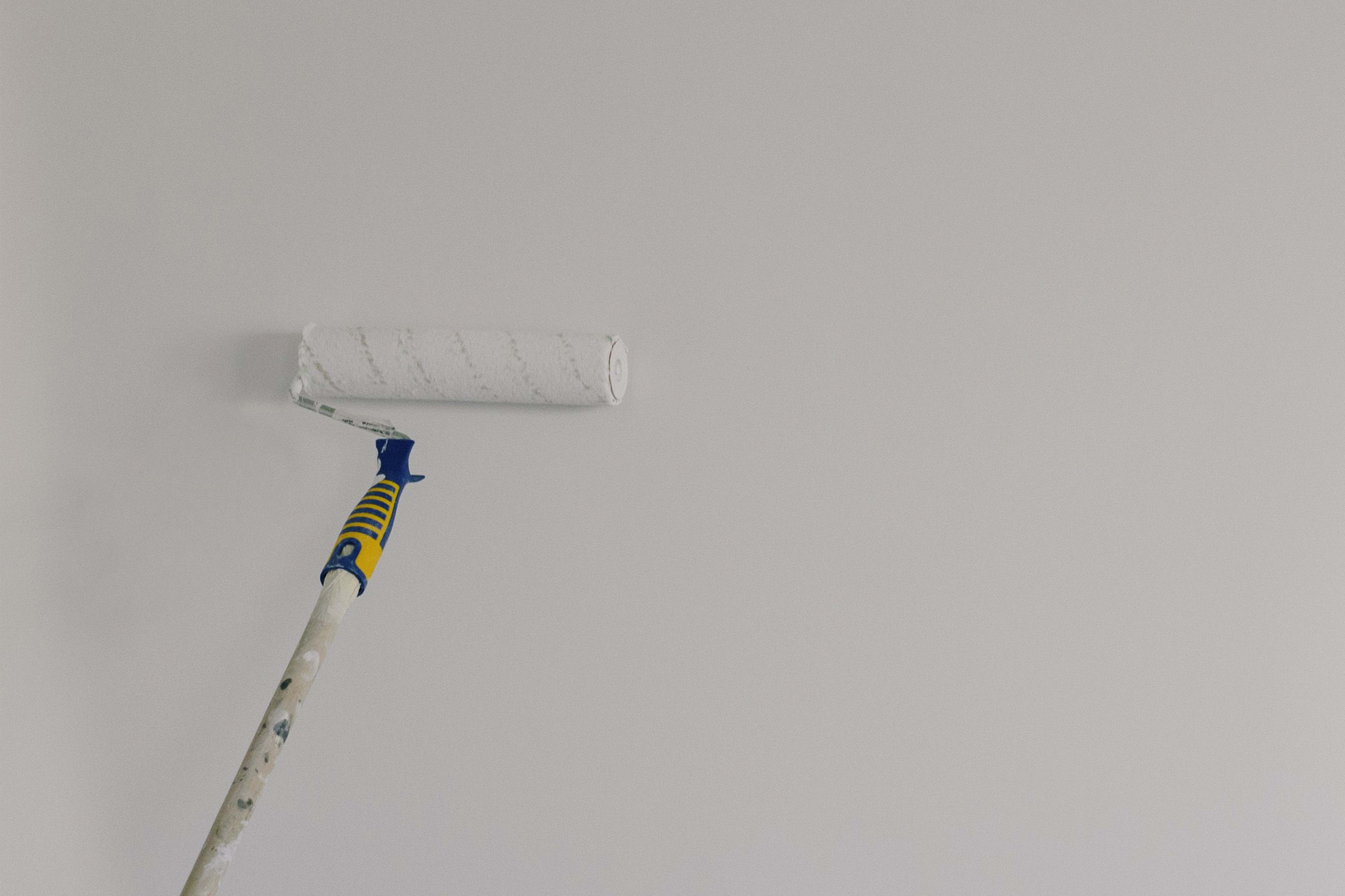 Talc for Paint