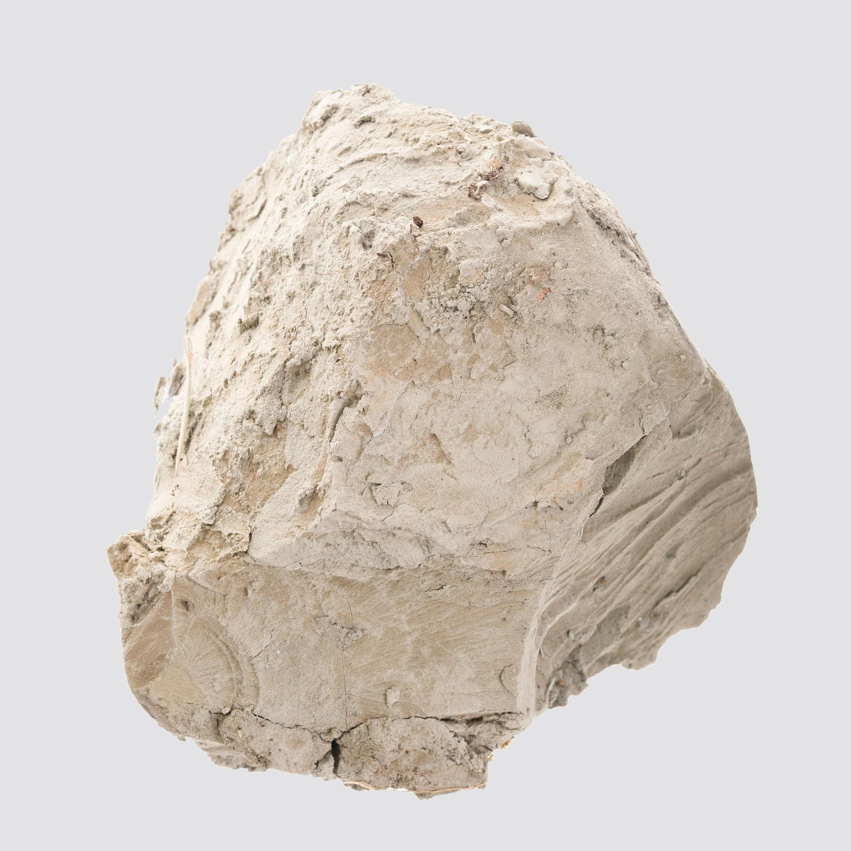 bentonite