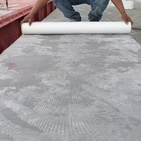 Roof-Waterproofing5dl