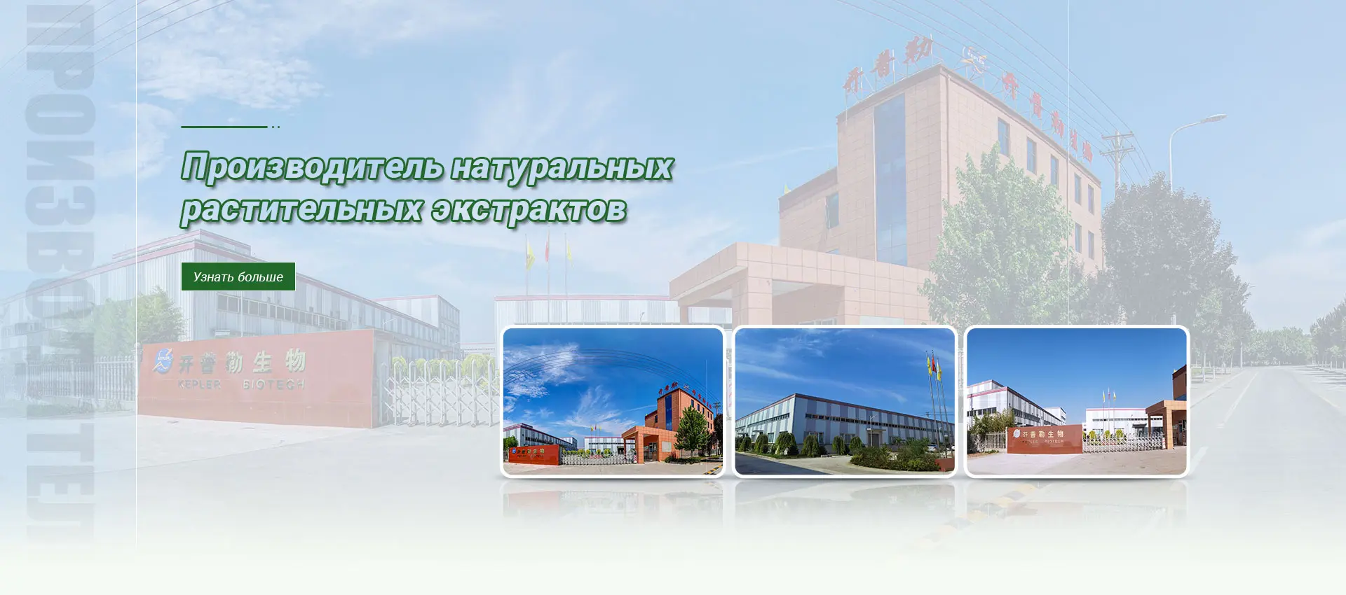 Сертификация CE Мононуклеотид (NMN) Фабрика