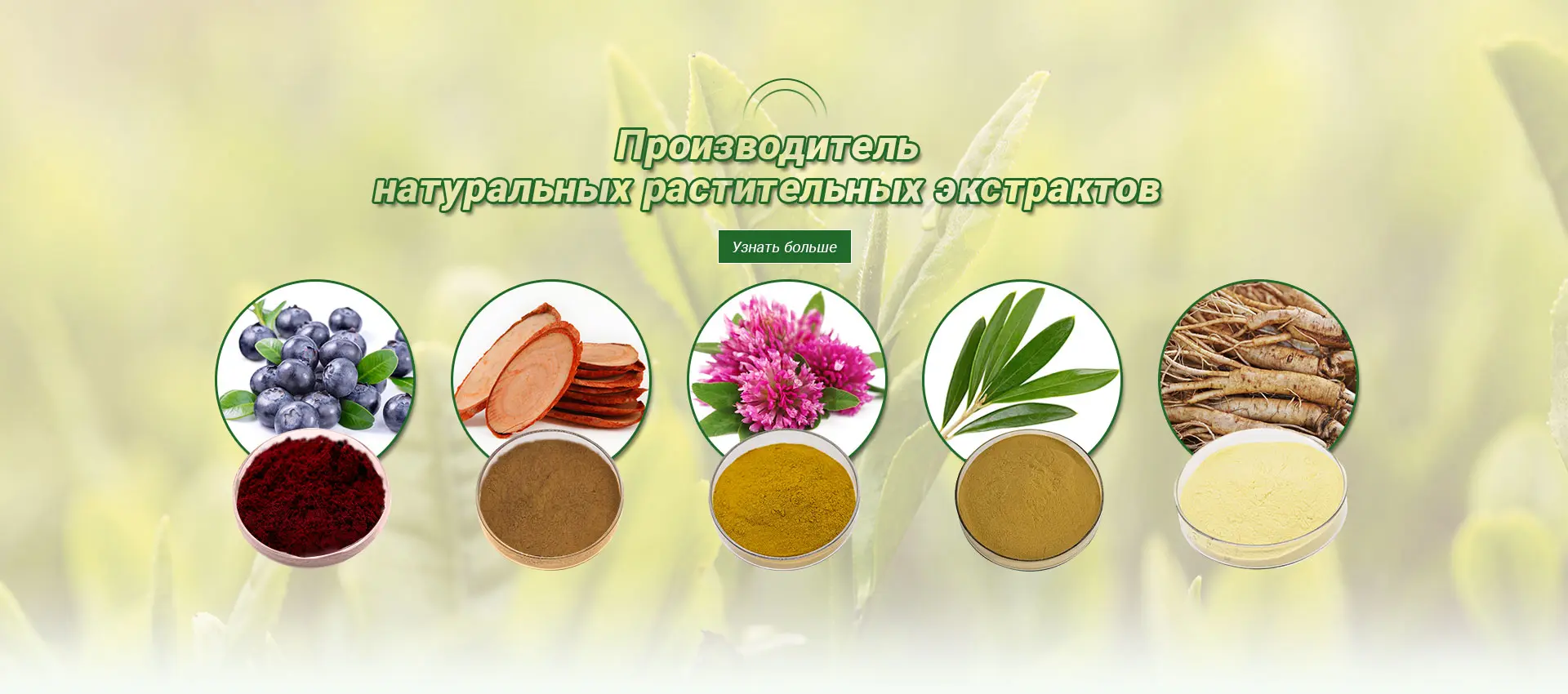 Сертификация CE Мононуклеотид (NMN) Фабрика