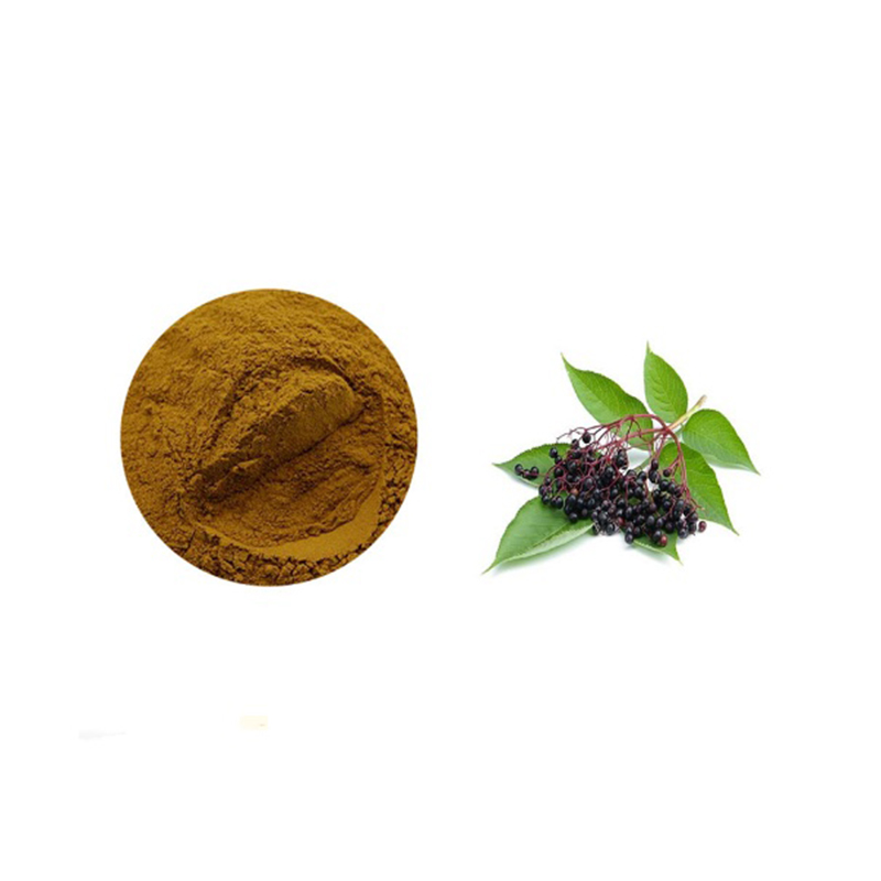 Натуральный и полезный экстракт зеленого растения Sambucus williamsii