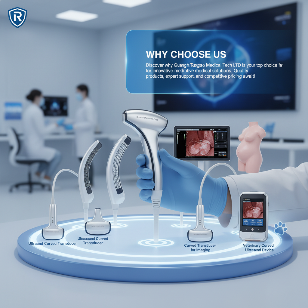 Why Choose Us