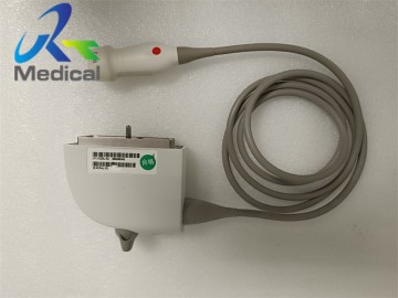 Siemens P4-2 Phased Array Ultrasound Transducer Probe Cardiac