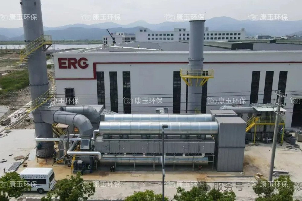 Project Announcement 260,000 m&sup3;h VOCs Abatement Project for Taizhou Erge Technology Successfully Delivered (12).jpg