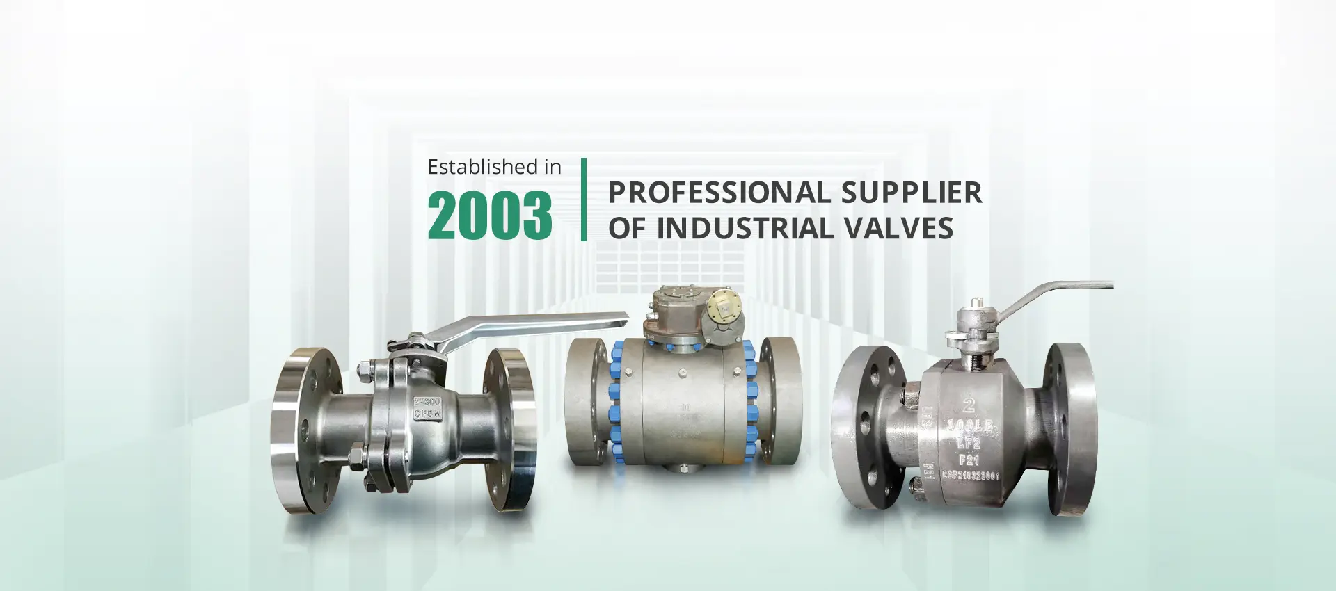 engineering valves