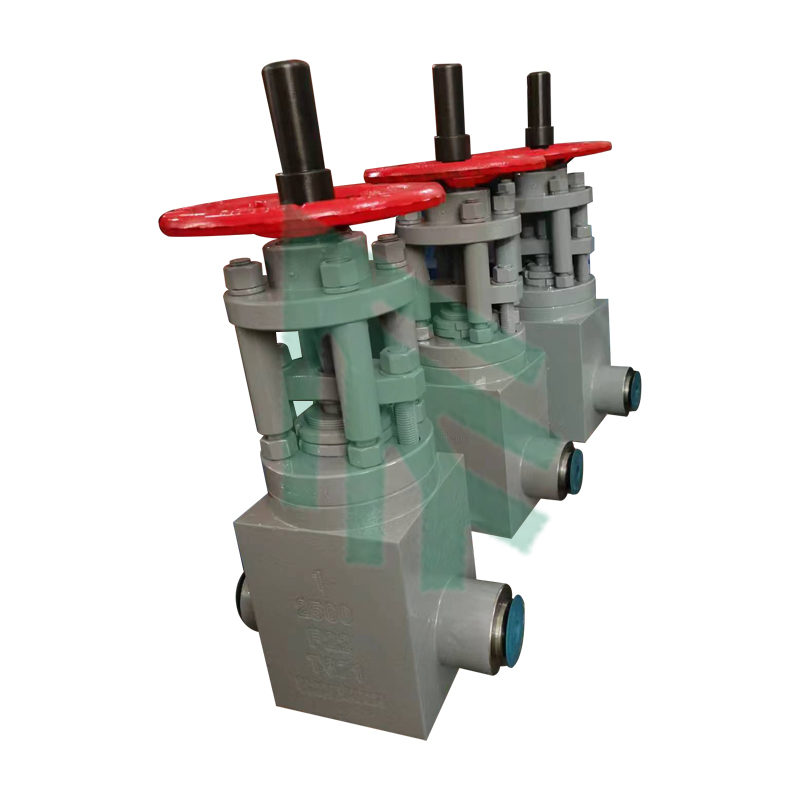 Parallel Gate Valves