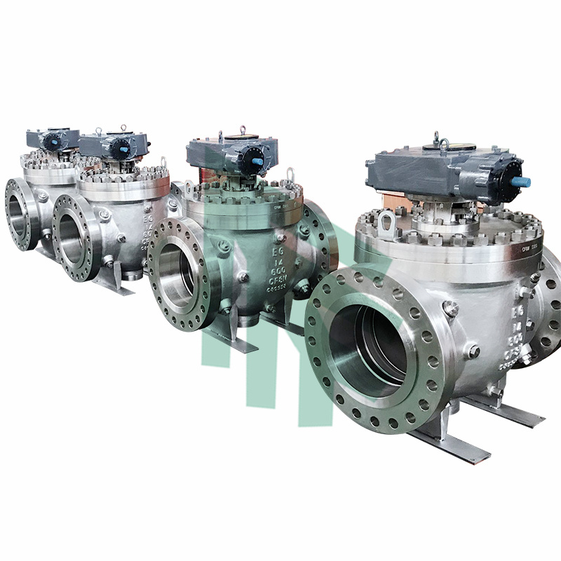 Top Entry Ball Valves