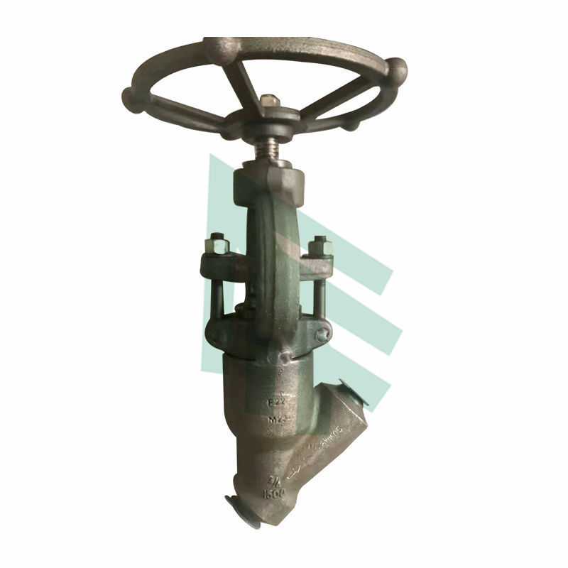 Forged Globe Valves,RF,SW,BW,NPT,PSB,BB