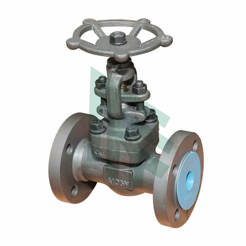 Forged Gate Valves,RF,SW,BW,NPT,PSB,BB