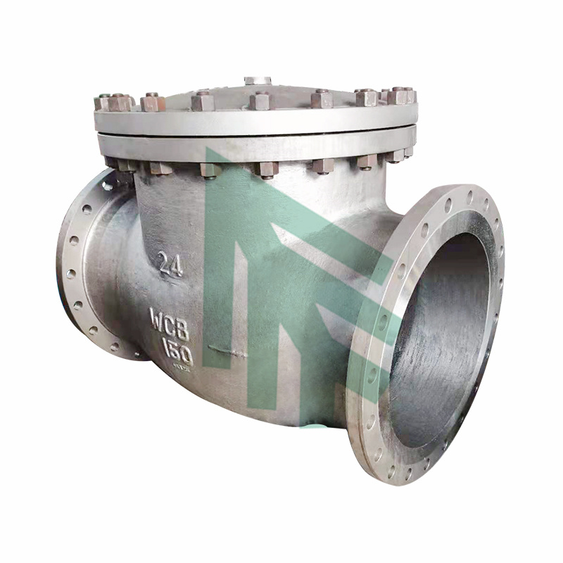 Casting Check Valves,PSB,BB Design