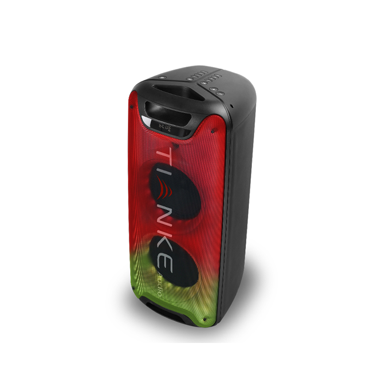 New Private Model Hi-Fi Speaker Microphone Active Professional Speaker