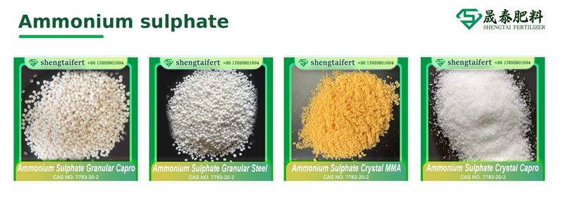Global Sulphur Shortage Raises New Challenges for the Fertilizer Industry in 2026
