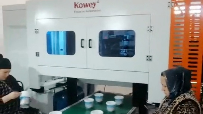 Top Entry IML Robot For Bucket
