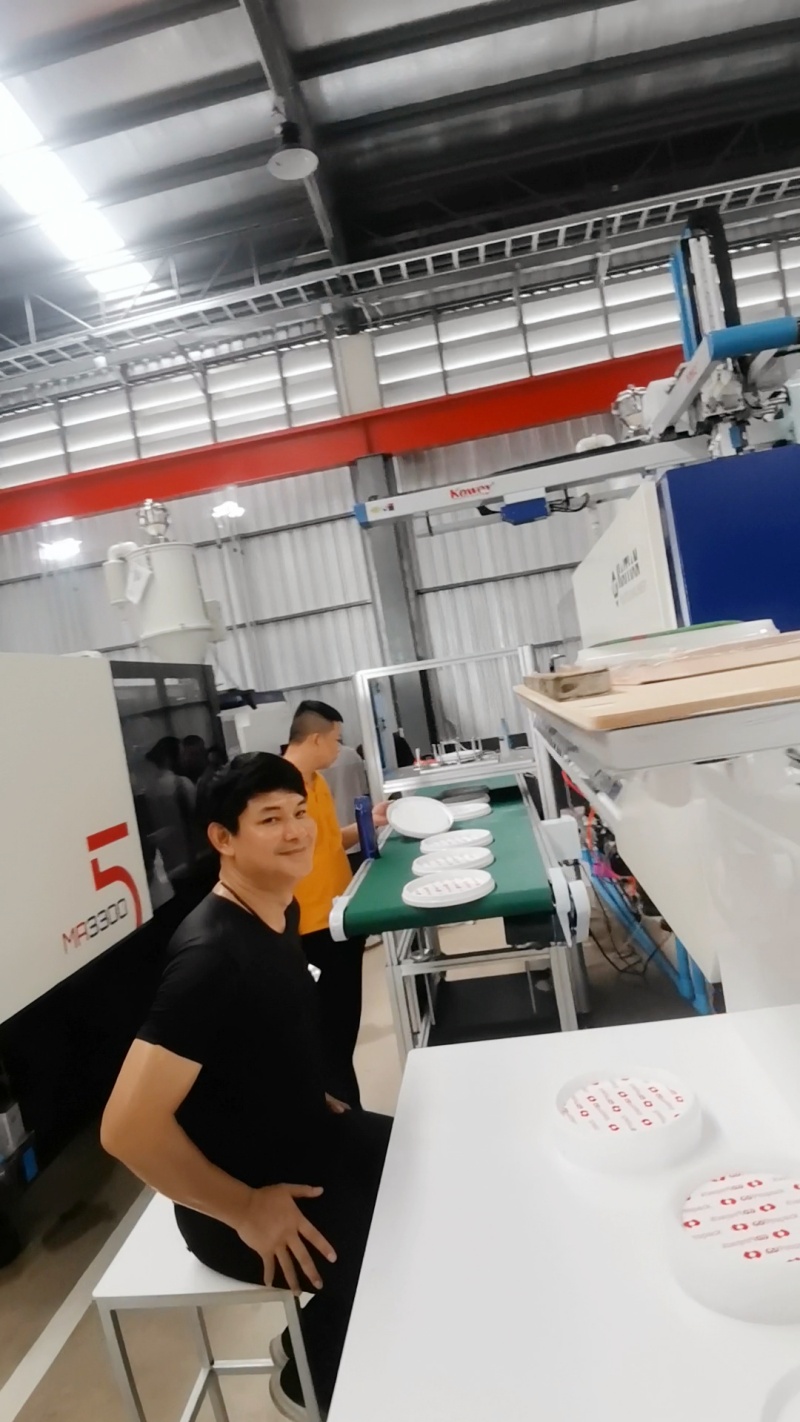 Top Entry IML Robot For Lid