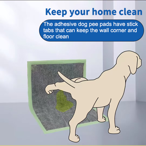 Say Goodbye to Pet Cleaning Worries - This Small Item Works Wonders