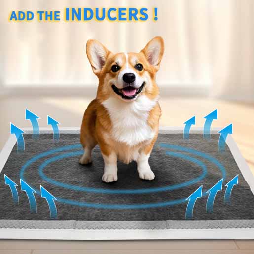 Still Struggling with Pet Potty Training? Our Magic Pads Hold the Key!