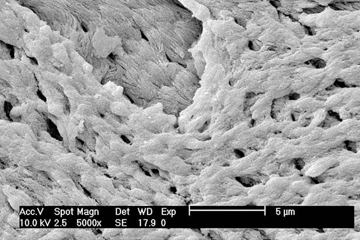 Bone meal (8)93e