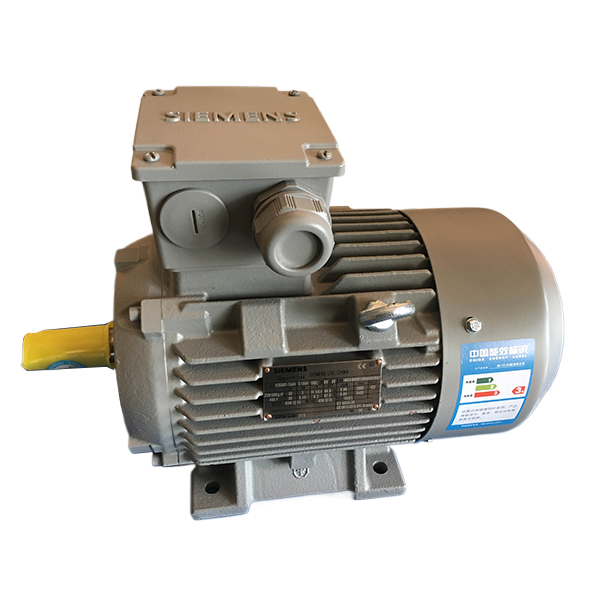 Siemens электродвигатель 380в 5.55.5квт 1LE1001-1CB03-4AB4 SIMOTICS GP