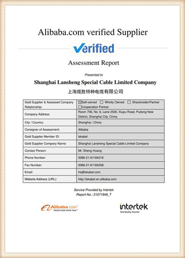 Factory-assessment-report-by-Intertek9rt