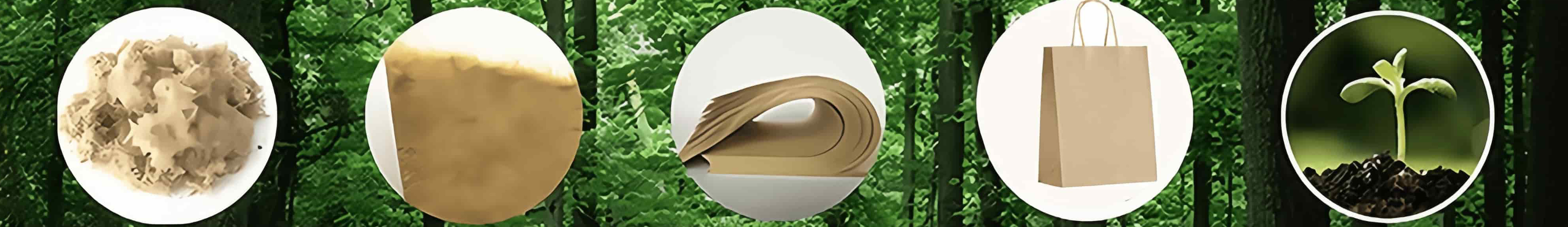 biogradable-custom-gift-bags_