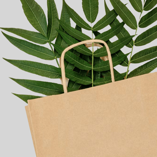 Compostable kraft gift bags with custom printing, made from plant-based materials for eco-friendly, minimal waste packaging.