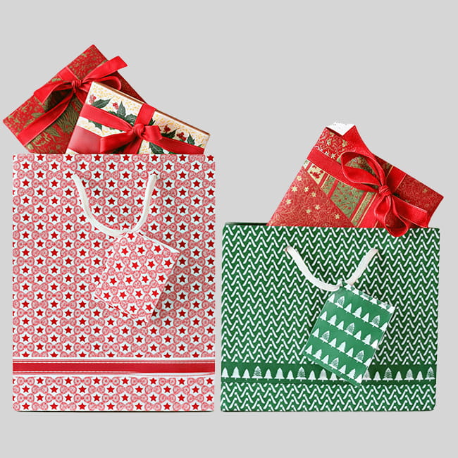 Reinforced handles printed paper bags for retail, shopping, and packaging. Durable, eco-friendly, customizable and reusable.