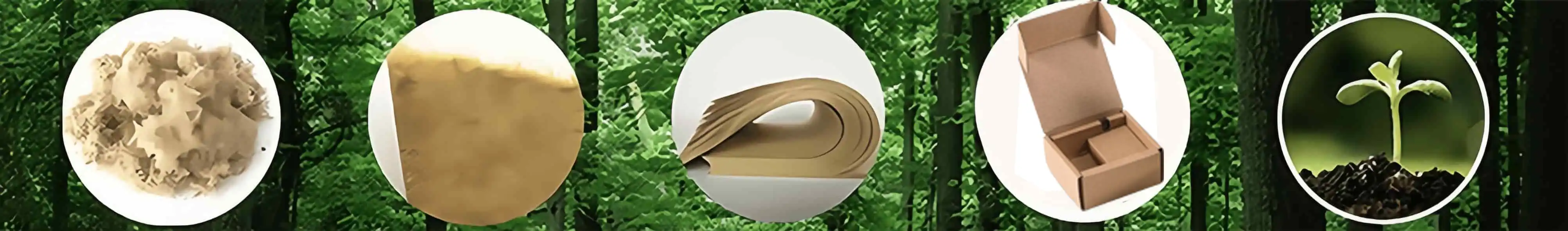 biogradable-custom-airplane-boxes