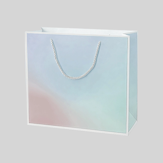 কাস্টম কাগজের ব্যাগ কার্ডবোর্ড