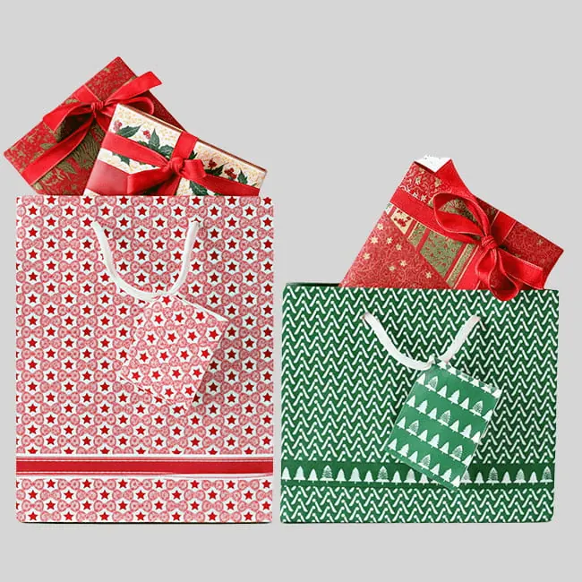 Sacchetti di carta stampati cù maniglie rinforzate per a vendita al dettaglio, a spesa è l'imballaggio. Resistenti, ecologichi, persunalizabili è riutilizzabili.