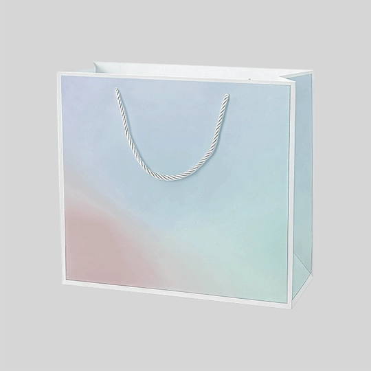 custom paper bag cardboard