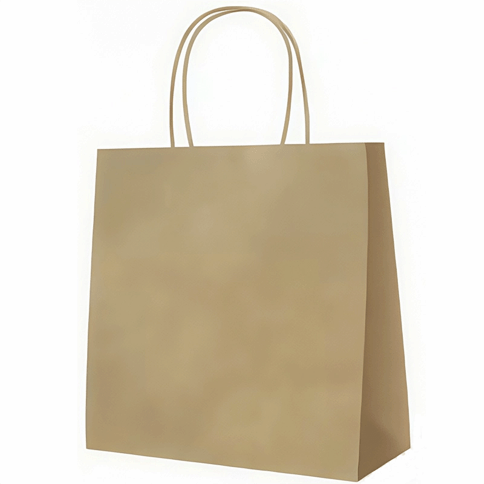 large kraft paper gift bag