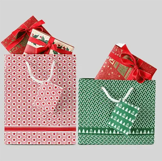 reinforced handles printed paper bags