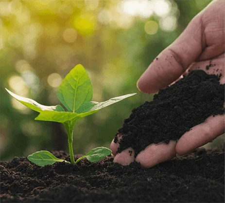 Green and eco-friendly packaging.