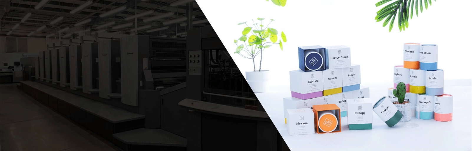 Custom green paper packaging, offering eco-friendly solutions with personalized designs.