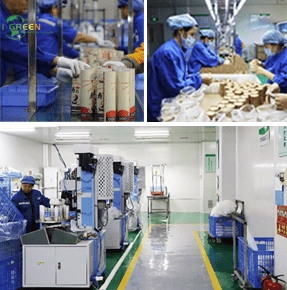 Tuotantokapasiteetti ja -mittakaava suurten volyymien räätälöityjen pakkausten valmistukseen.