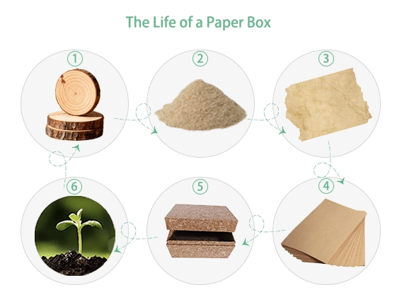 Qutiya darîn a hişk a hawirdorparêz.