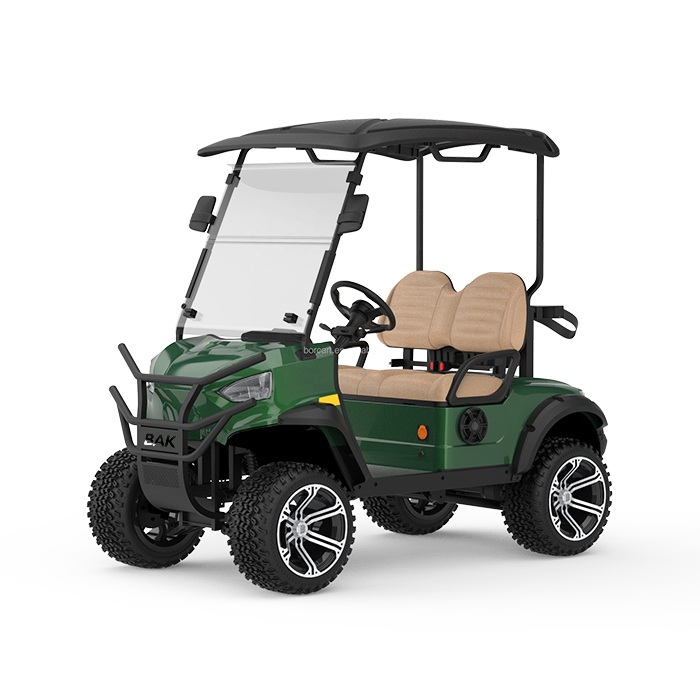Road Approved R-H2 Electric Golf Cart Buggy 4 Wheel Drive