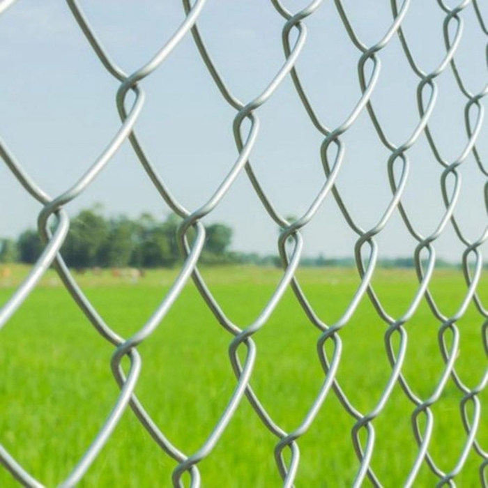 chain link fence (57)wjt