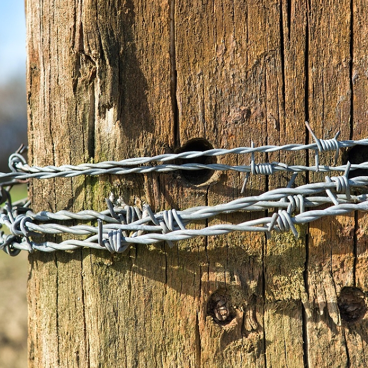 Забор из колючей проволоки из нержавеющей стали с двойным кручением и ПВХ-покрытием