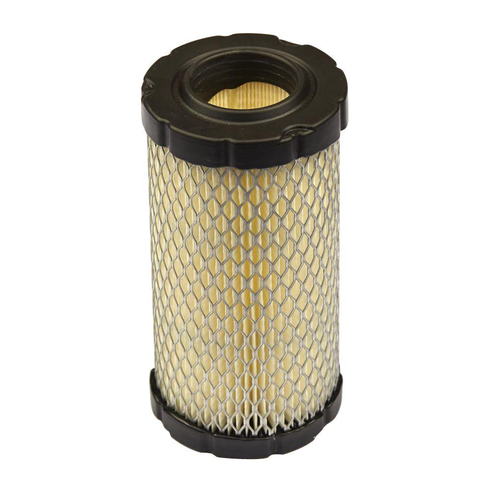 briggs-stratton-lawn-mower-filters-793569-64_1000.jpg