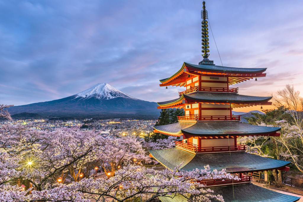 Japan Company Incorporation