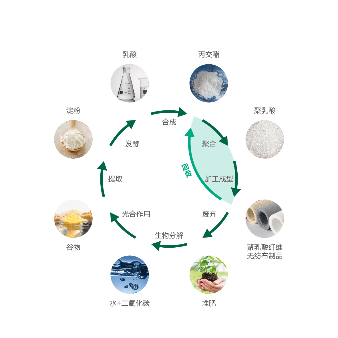 生物降解纖維循環(huán)圖_畫板 1 副本
