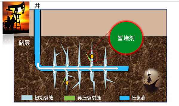 產(chǎn)品介紹1-中文