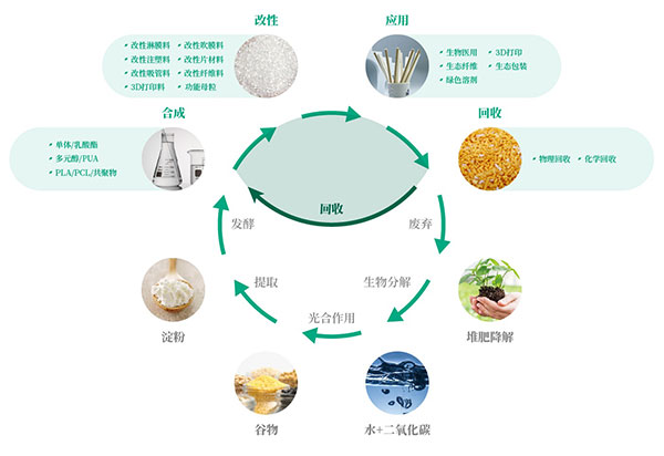 循環(huán)圖_畫板-1(1)_看圖王.jpg